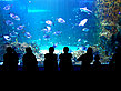 Fotos Sydney Aquarium
