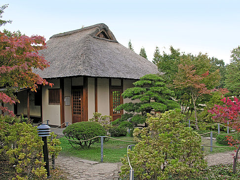 Japanischer Garten - Hamburg (Hamburg)