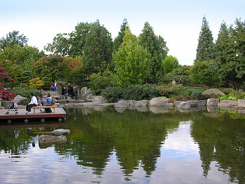 Japanischer Garten - Hamburg (Hamburg)