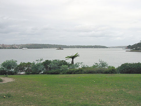 Botanischer Garten - Neusüdwales (Sydney)