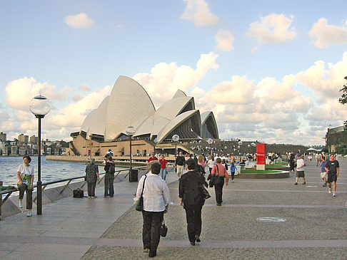 Hafen und Oper