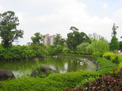 Daan Park - Taiwan (Taipeh)