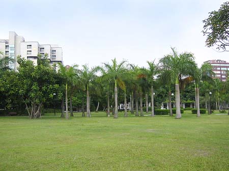 Daan Park - Taiwan (Taipeh)