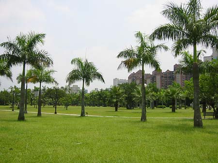 Daan Park - Taiwan (Taipeh)