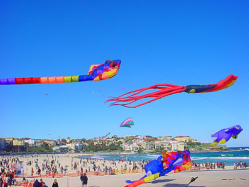  Fotografie Attraktion  Farbenfrohes Treiben am Strand von Sydney