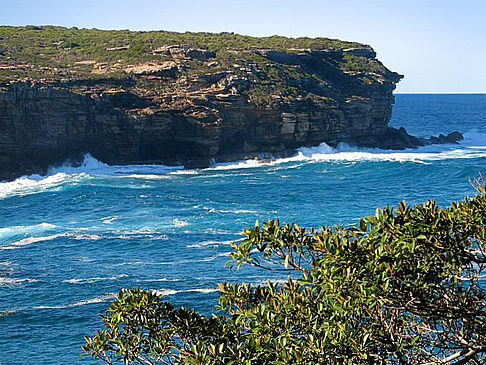 Foto Royal National Park - Sydney