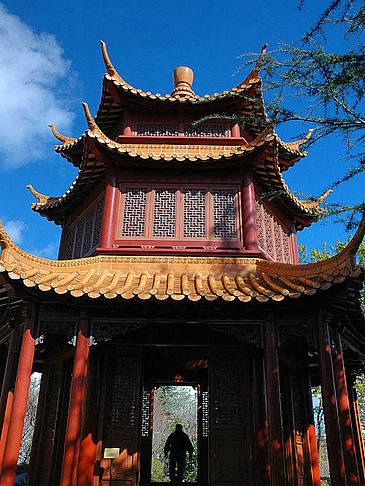 Chinese Garden Foto 