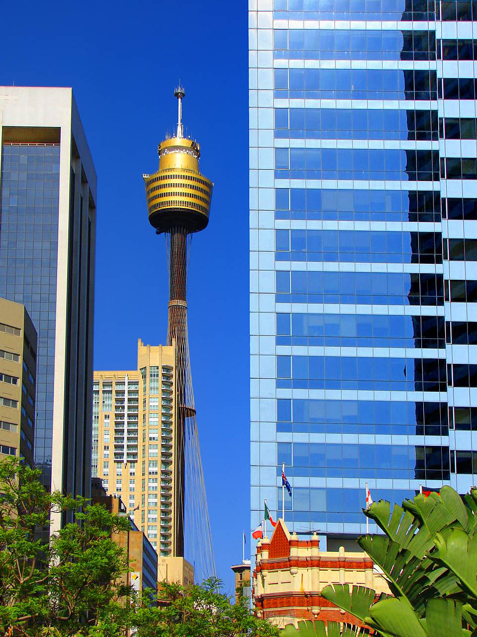 Sydney Tower Fotos