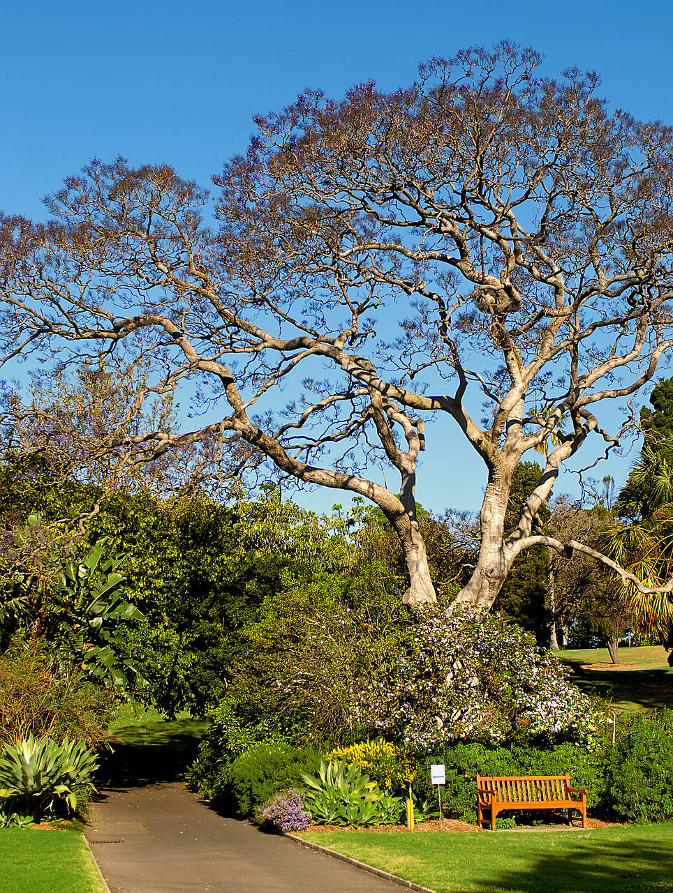 Fotos Royal Botanic Gardens