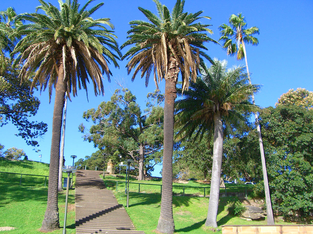 Royal Botanic Gardens Foto 