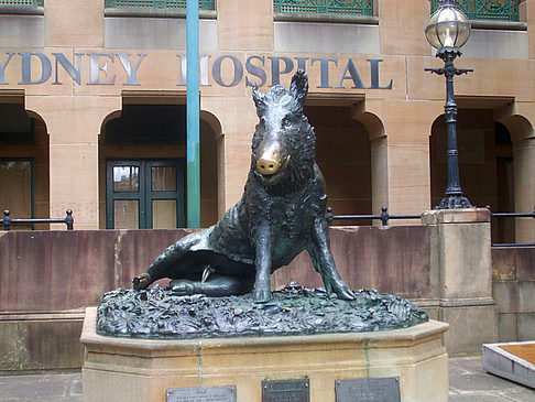 Fotos Sydney Hospital